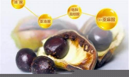 牡丹籽油贵吗_牡丹籽油价值分析