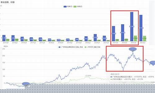成长基金的优点和缺点_成长基金价值暴跌