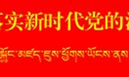 拉萨成品油价格_拉萨油价2017年